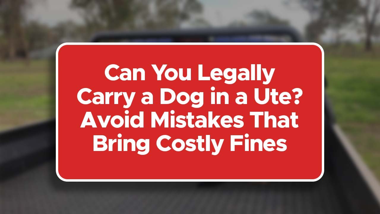Can You Legally Carry a Dog in a Ute? Avoid Mistakes That Bring Costly Fines